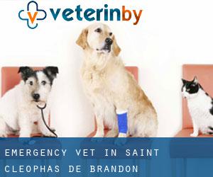 Emergency Vet in Saint-Cléophas-de-Brandon