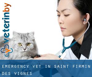 Emergency Vet in Saint-Firmin-des-Vignes