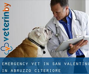 Emergency Vet in San Valentino in Abruzzo Citeriore