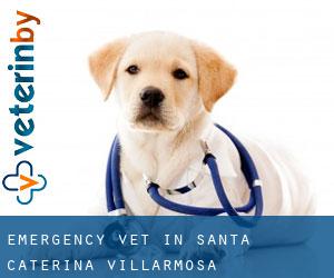 Emergency Vet in Santa Caterina Villarmosa