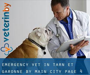 Emergency Vet in Tarn-et-Garonne by main city - page 4