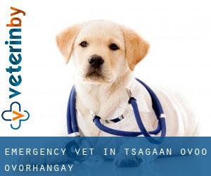 Emergency Vet in Tsagaan-Ovoo (Övörhangay)