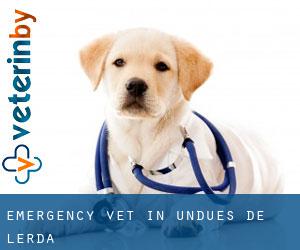 Emergency Vet in Undués de Lerda