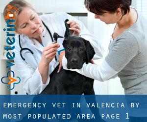 Emergency Vet in Valencia by most populated area - page 1 (Province)