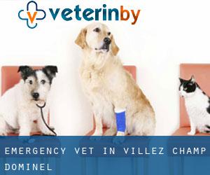 Emergency Vet in Villez-Champ-Dominel