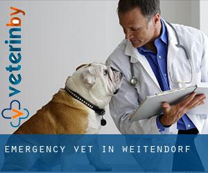 Emergency Vet in Weitendorf