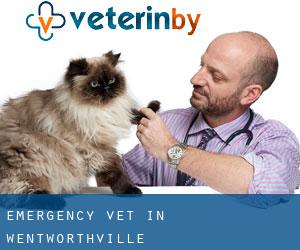 Emergency Vet in Wentworthville