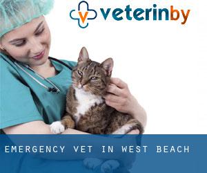 Emergency Vet in West Beach