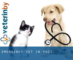 Emergency Vet in Yuci