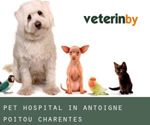 Pet Hospital in Antoigné (Poitou-Charentes)