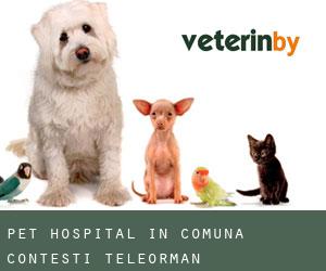 Pet Hospital in Comuna Conţeşti (Teleorman)