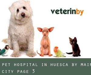 Pet Hospital in Huesca by main city - page 3
