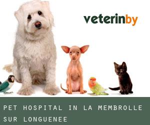 Pet Hospital in La Membrolle-sur-Longuenée