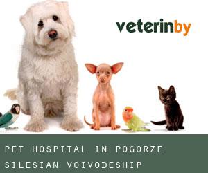 Pet Hospital in Pogórze (Silesian Voivodeship)