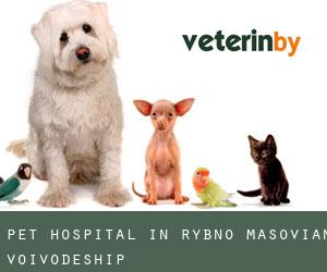 Pet Hospital in Rybno (Masovian Voivodeship)