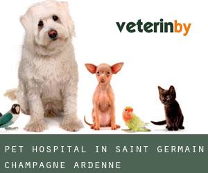 Pet Hospital in Saint-Germain (Champagne-Ardenne)