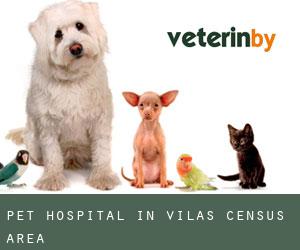 Pet Hospital in Vilas (census area)