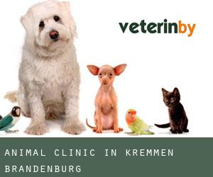 Animal Clinic in Kremmen (Brandenburg)