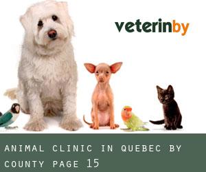 Animal Clinic in Quebec by County - page 15