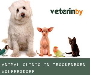 Animal Clinic in Trockenborn-Wolfersdorf
