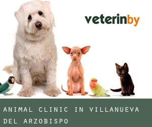 Animal Clinic in Villanueva del Arzobispo
