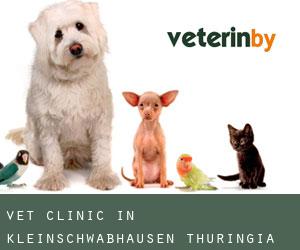 Vet Clinic in Kleinschwabhausen (Thuringia)