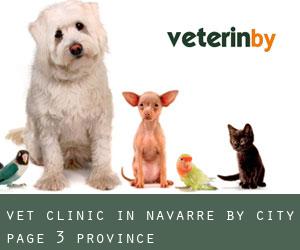 Vet Clinic in Navarre by city - page 3 (Province)