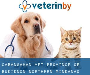 Cabangahan vet (Province of Bukidnon, Northern Mindanao)
