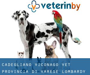 Cadegliano-Viconago vet (Provincia di Varese, Lombardy)