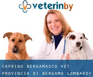 Caprino Bergamasco vet (Provincia di Bergamo, Lombardy)