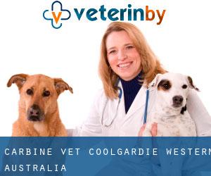 Carbine vet (Coolgardie, Western Australia)