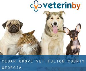 Cedar Grove vet (Fulton County, Georgia)