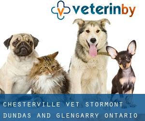 Chesterville vet (Stormont, Dundas and Glengarry, Ontario)