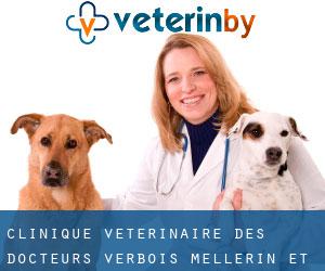 Clinique Vétérinaire des Docteurs Verbois, Mellerin et Chanteloube (Montauban)