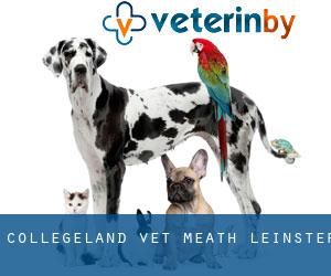 Collegeland vet (Meath, Leinster)