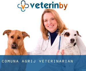 Comuna Agrij veterinarian