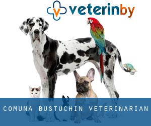 Comuna Bustuchin veterinarian