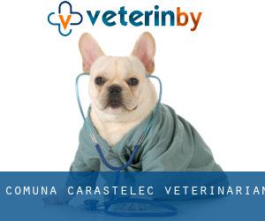 Comuna Carastelec veterinarian