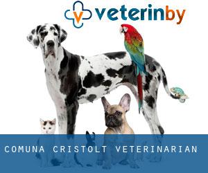 Comuna Cristolţ veterinarian