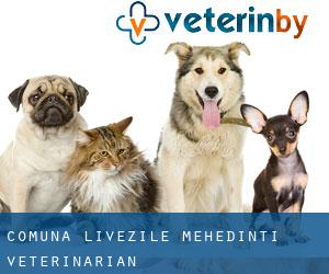Comuna Livezile (Mehedinţi) veterinarian