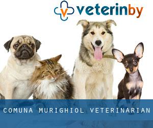 Comuna Murighiol veterinarian