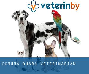 Comuna Ohaba veterinarian