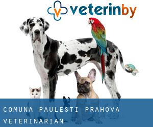 Comuna Păuleşti (Prahova) veterinarian