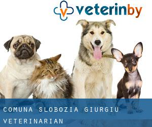 Comuna Slobozia (Giurgiu) veterinarian