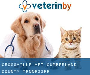 Crossville vet (Cumberland County, Tennessee)