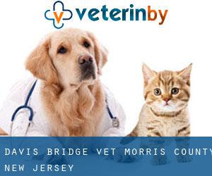 Davis Bridge vet (Morris County, New Jersey)