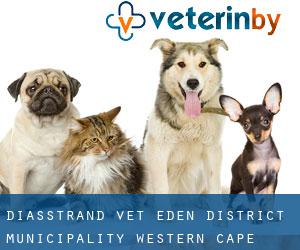 Diasstrand vet (Eden District Municipality, Western Cape)