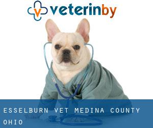 Esselburn vet (Medina County, Ohio)