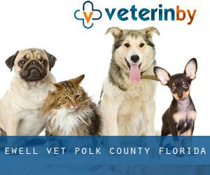 Ewell vet (Polk County, Florida)