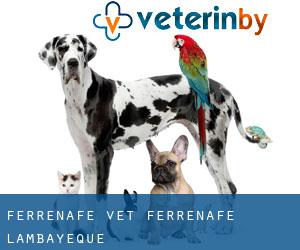 Ferreñafe vet (Ferreñafe, Lambayeque)